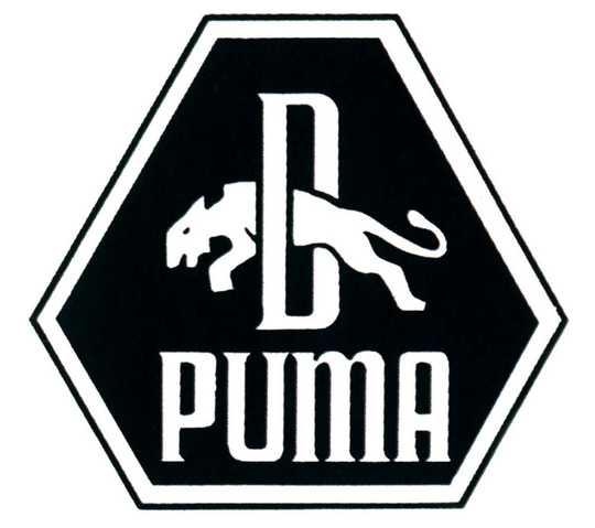 histoire de la marque puma